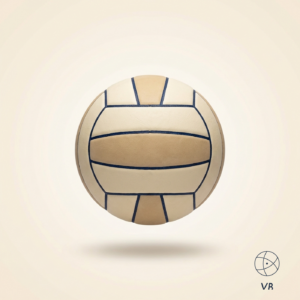 Weighted Setter Trainer Ball