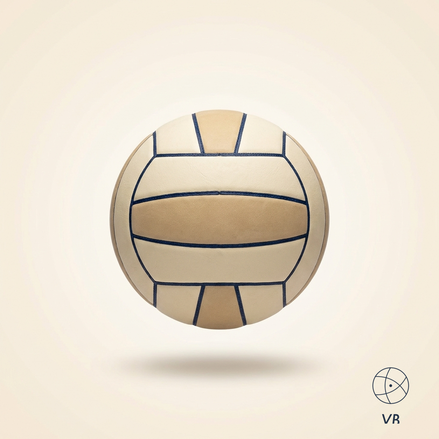 Weighted Setter Trainer Ball